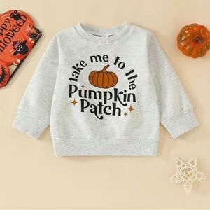 Cute gray sweatshirt style fall shirt for boys or girls. NWOT 18-24 months